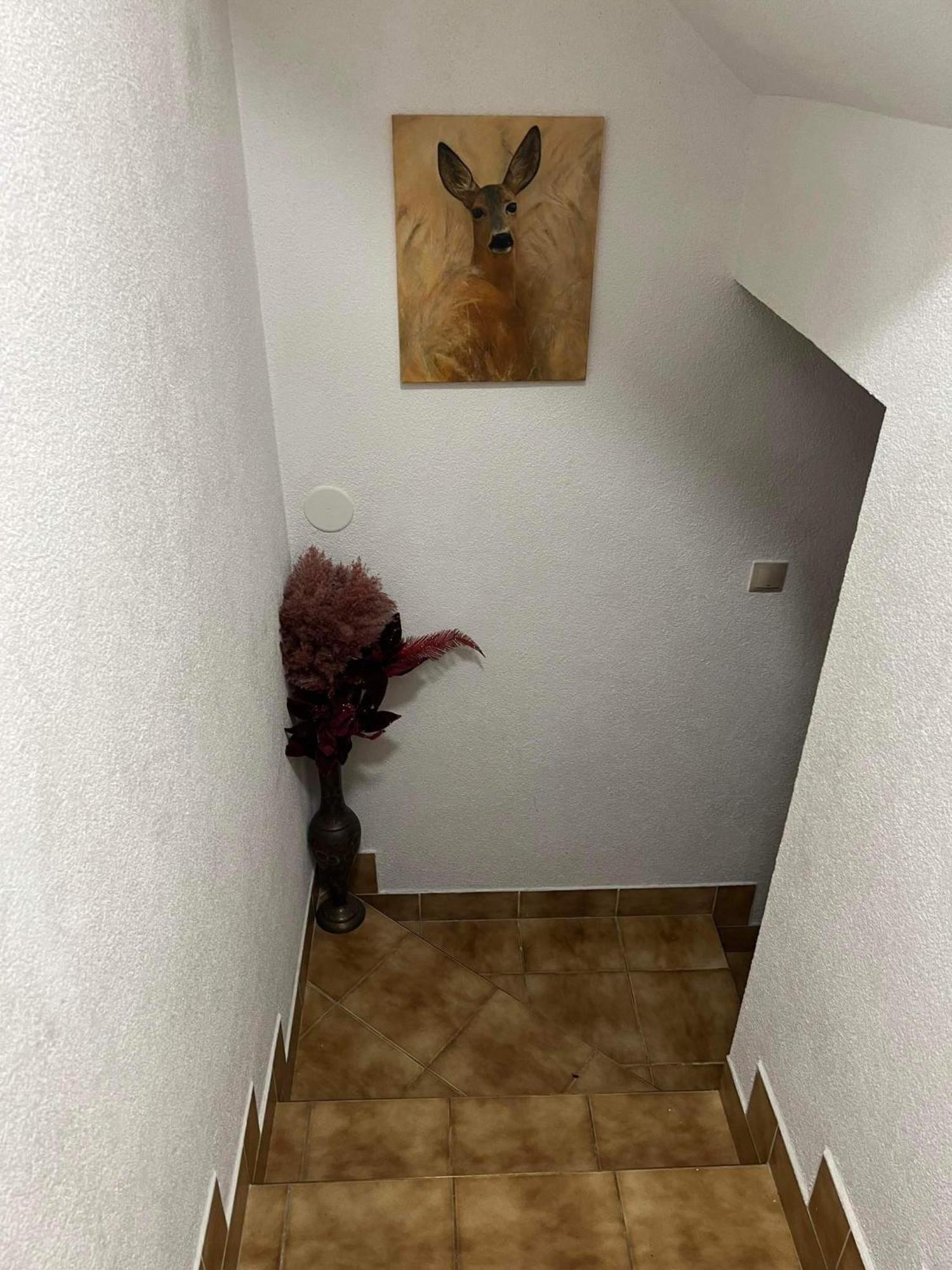 Privat Forest Liptowski Mikułasz Zewnętrze zdjęcie